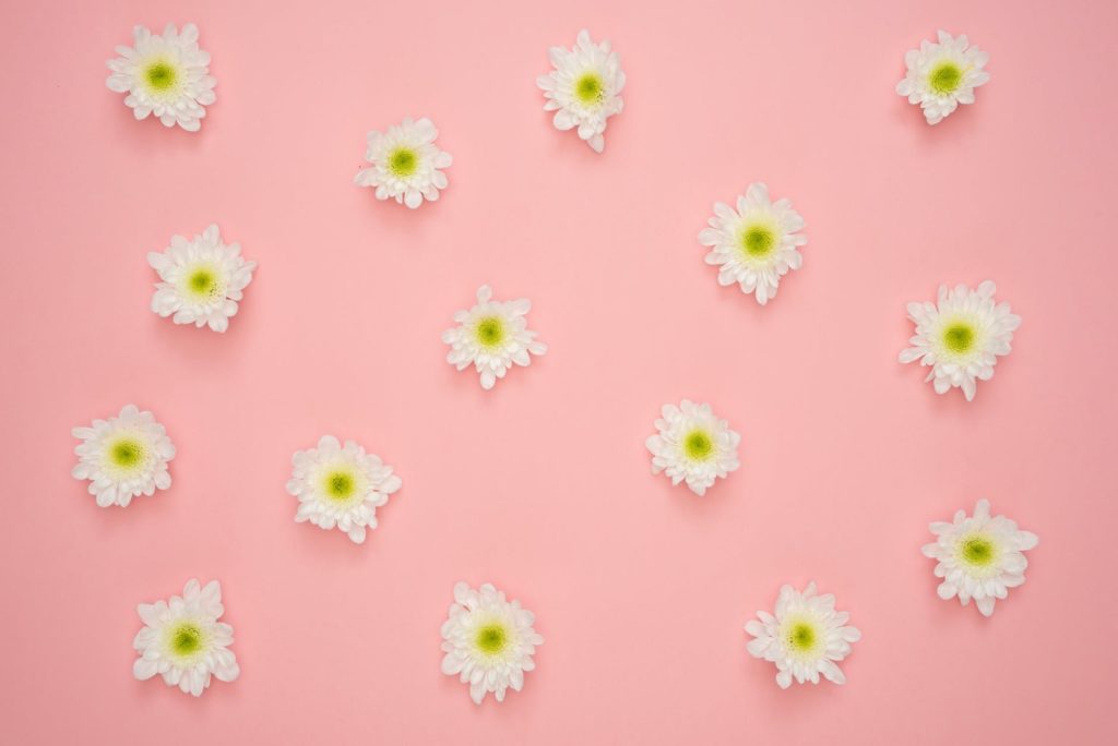 white and yellow flower on pink wall